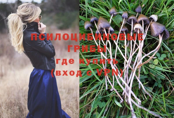 стафф Семикаракорск