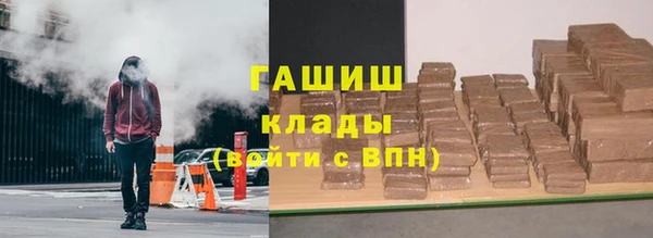 сатива Сатка