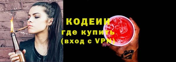 сатива Сатка