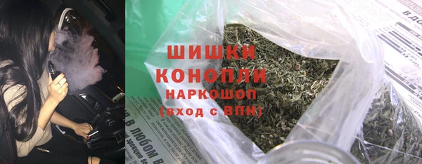 сатива Сатка