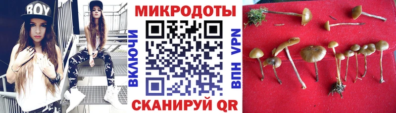 Галлюциногенные грибы MAGIC MUSHROOMS  Купить закладки  Полысаево 