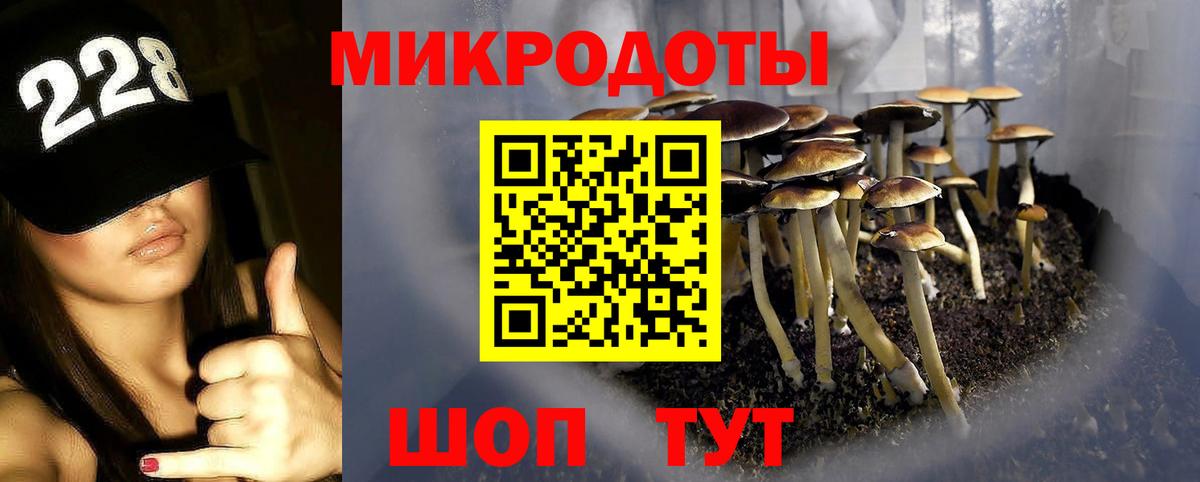 Псилоцибиновые грибы MAGIC MUSHROOMS  Галлюциногенные грибы MAGIC MUSHROOMS  Вход с VPN  Полысаево 