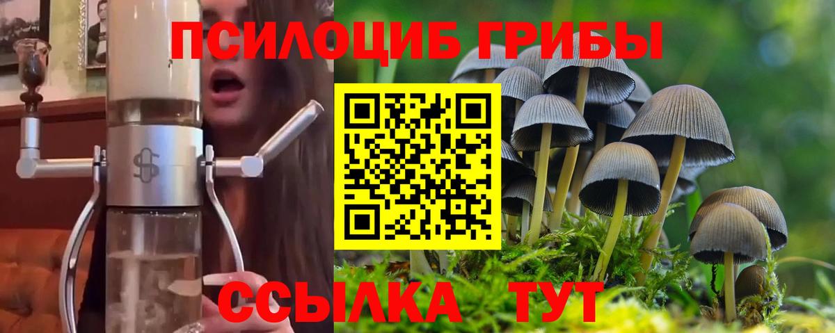 Галлюциногенные грибы ЛСД Полысаево